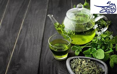 سلامت /آیا نوشیدن چای سبز فوایدی برای سلامتی دارد؟ - اندیشه قرن