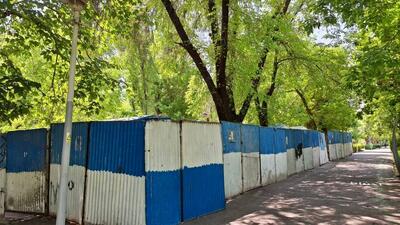 لابی شورای شهر برای لغو ساخت و ساز در پارک لاله