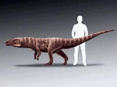 (تصاویر) کشف ردپای یک کروکودیل دایناسور که مثل انسان روی دو پا راه می‌رفته!