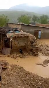 خسارت سیل به ۵ واحد مسکونی ودامداری در شهرستان هرسین