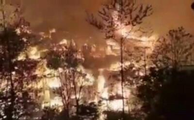 مومنی: آتش به جنگل نرسید
