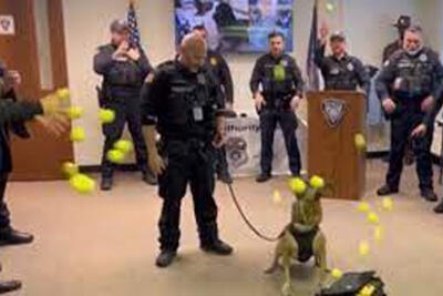 ببینید | سورپرایز پلیس‌ها در جشن بازنشستگی سگ پلیس؛ ذوق‌زدگی سگ بعد از دیدن هدایا