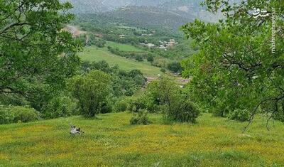 عکس/ طبیعت زیبای روستای قلعه‌گاه روانسر