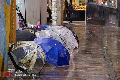 بارش باران هوای تهران را «پاک» کرد