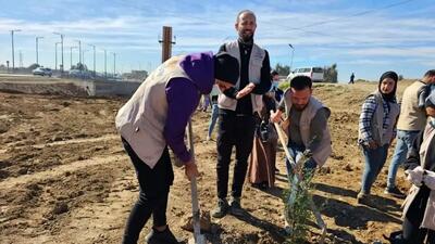 مردم سوریه با کاشت درختان در تلاش برای احیای محیط زیست هستند.