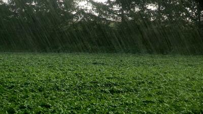 هواشناسی هشدار داد/ کشاورزان به گوش باشید