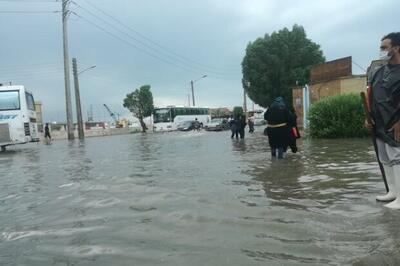 ببینید/ باران شدید در بندر گناوه موجب آب‌گرفتگیِ خیابان‌ها شد