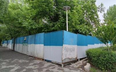 حصارکشی در پارک لاله؛ آیا باز هم درخت قطع می‌شود؟