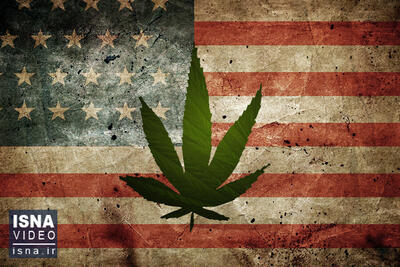 ویدیو/ مصرف «ماری‌جوانا» در آمریکا هم آزاد می‌شود!