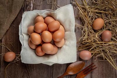ضرورت خرید حمایتی تخم مرغ در راستای کاهش زیان مرغداران