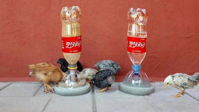 فرآیند ساخت یک دانخوری خلاقانه برای مرغ‌ها با بطری پلاستیکی (فیلم)