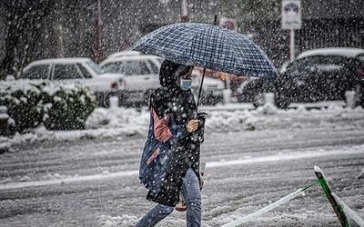 باران ایلام نارنجک‌ها را از دل خاک بیرون کشید +عکس
