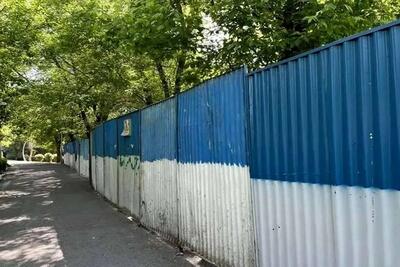 اقراریان، عضو شورای شهر تهران می‌گوید زاکانی تصمیم به اعدام درختان پارک لاله برای ساخت فرهنگسرا گرفته / جمعی از همکاران شورا با اقدامات پر حاشیه او مخالف‌اند و اجازه این کار را نخواهیم داد