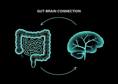 هوش مصنوعی در جستجوی راز آلزایمر: کاوش در ارتباط بین روده و مغز!