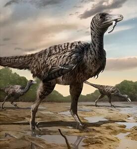 کشف ردپای  یک دایناسور ماموت در چین | یک شکارچی غول‌پیکر!
