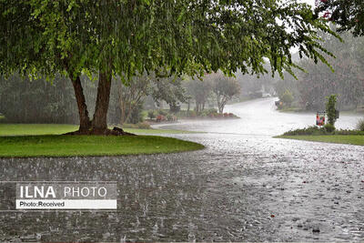 ۲۴ و پنج دهم میلی متر در شیراز باران بارید/ فیروز آباد پیشتاز بارش ها