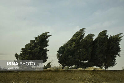 وزش باد شدید در اکثر نقاط استان کرمان