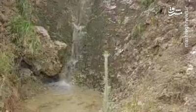 فیلم/جاری شدن آب چشمه‌های خشک دهلران پس از بارندگی