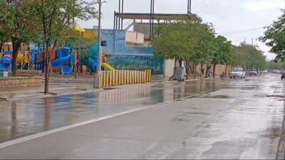 بارش باران در شهر صفی‌آباد