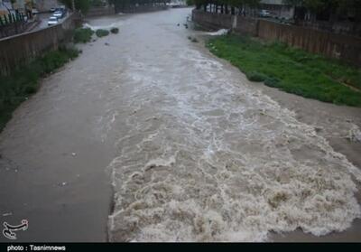 خسارت سنگین بارش‌ها به بخش کشاورزی استان فارس - تسنیم
