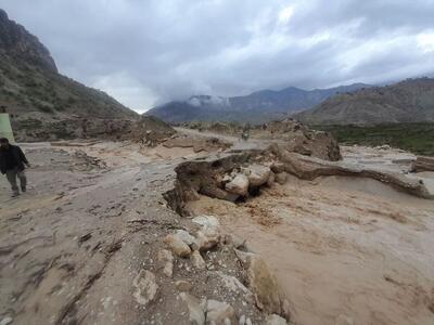 خسارت ۵۰۰ میلیارد ریالی بارش‌های سیلابی به حوزه عشایری ایلام