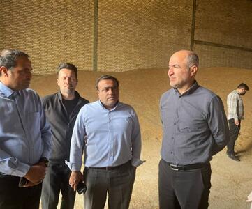 انتقال صدها هزار تُن گندم خریداری شده در خوزستان به سیلوها