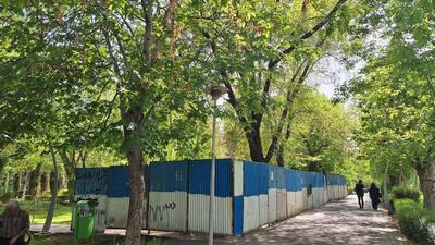 از شعار زنده باد درخت تا حصارکشی در پارک لاله/با قطع درختان پارک لاله باب درخت کشی در شهر باز خواهد شد! | اقتصاد24