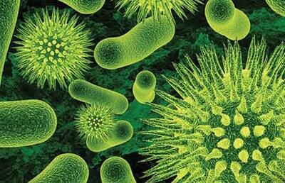 سلاح جدید دانشمندان برای مقابله با باکتری‌های بیماری‌زا رونمایی شد