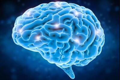 مطالعه یک ماده مغذی، مسیری برای درمان اختلالات مغزی!