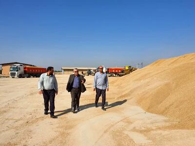 نجات 560 هزار تن گندم خوزستان توسط سربازان امنیت غذایی