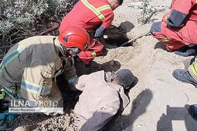 نجات دو کارگر چاهکن از گودال در بزرگراه فتح