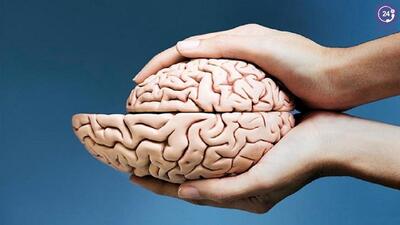 مغز انسان هر روز از انسان های قبل بزرگ‌تر می‌شود!