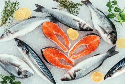 آیا خوردن غذاهایی دریایی در دوران بارداری بی‌خطر است؟