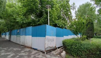 طرح جدید شهرداری برای درخت‌کشی در تهران!