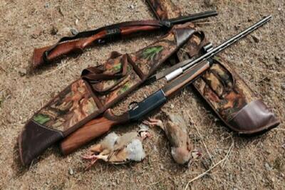 شکارچی «کل وحشی» ۷۵۰ میلیون ریال جریمه شد