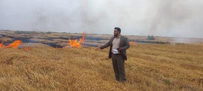 سوزاندن کاه و کلش پس از برداشت محصولات کشاورزی تهدید علیه سلامت عمومی است