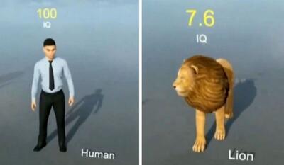 مقایسه جالب و دیدنی هوش انواع حیوانات با انسان