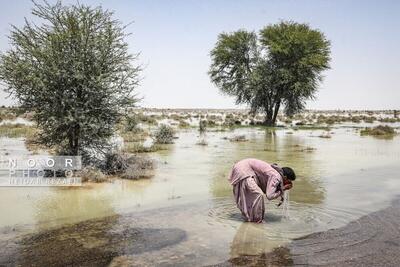 (ویدئو) روستاییان سیستان آب سیلاب می‌خورند!