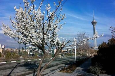 هوای کلانشهر تهران همچنان سالم است