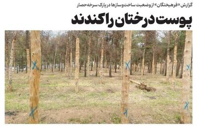 گزارش یک روزنامه از ادامه قطع درختان در تهران: درختان پارک حفاظت‌شده سرخه‌حصار نیز از شهرداری تهران ضربدر گرفتند/ جابه‌جایی یا قطع درخت، در هر دو صورت مرگ درخت را به دنبال خواهد داشت