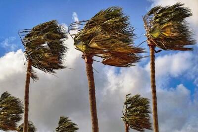 وزش باد برای خوزستان پیش بینی می‌شود