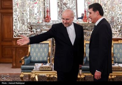 دیدار رئیس اقلیم کردستان عراق با رئیس مجلس شورای اسلامی- عکس خبری تسنیم | Tasnim
