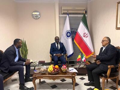سنگال دنبال روابط تجاری و اقتصادی با ایران است