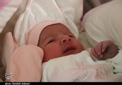 ثبت 1253 تولد نوزاد در خراسان جنوبی - تسنیم