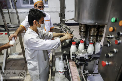 صادرات صنایع غذایی ایران در سال 2023؛ سهم اندک در بازار جهانی