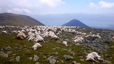 (عکس) سفر به ایران قدیم؛ صاعقه گاو و گوسفندهای این روستا را خشک کرد!