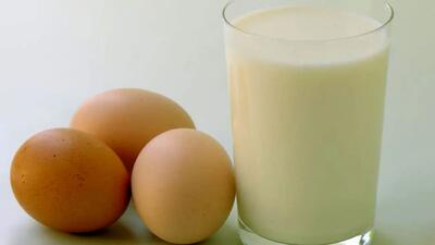 شیر خاصیت بیشتری دارد یا تخم مرغ؟ + کدامیک را بخورید؟