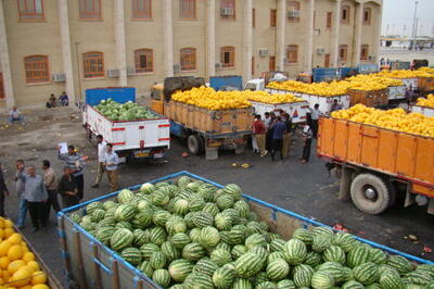 ایران به ۳۷ کشور دنیا محصولات غذایی صادر می کند