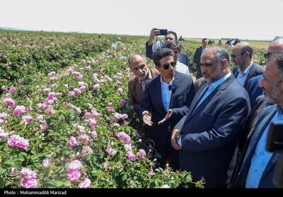 سفر وزیر جهاد کشاورزی به قم- عکس صفحه استان تسنیم | Tasnim