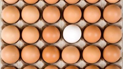 تخم مرغ قهوه‌ای چه فرقی با تخم مرغ سفید دارد؟